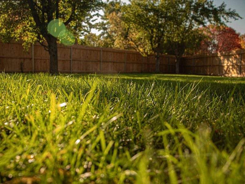 Empty garage after cleanout in Newport Beach, CA