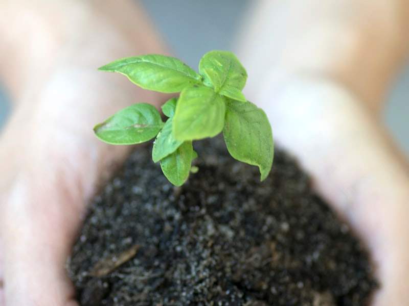 How Much Does Junk Removal Cost in Newport Beach, CA?